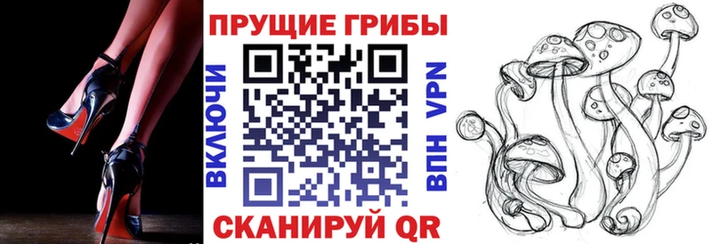 Галлюциногенные грибы мицелий  Шелехов 